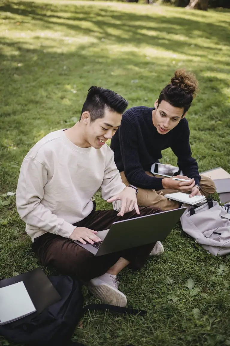 Smiling ethnic male students working on laptop on park meadow