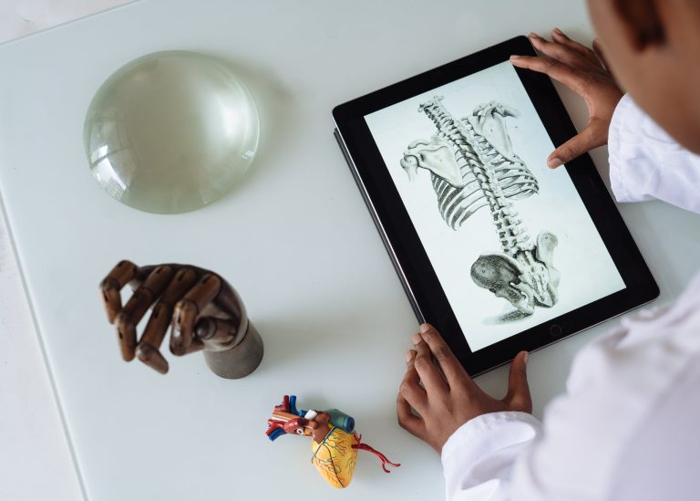 Unrecognizable African American scientist studying anatomy with tablet